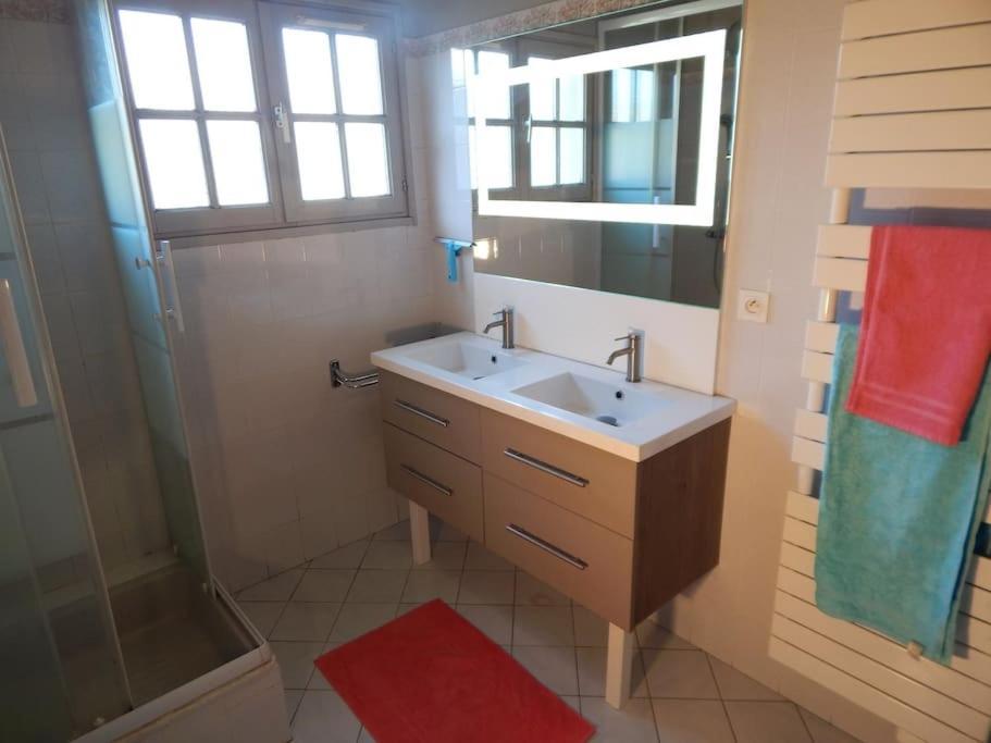 St Malo Maison Avec Jardin Proche Gare Plage Intramuros Chien Admis Parking Gratuit Saint-Malo Exterior photo
